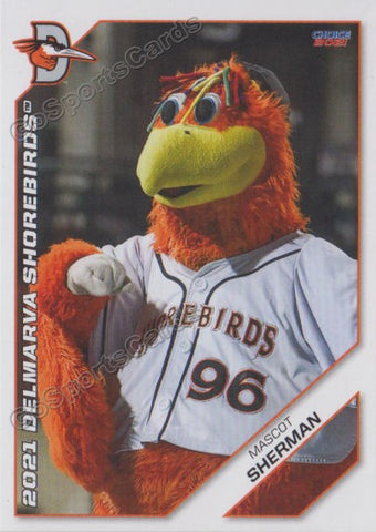 2021 Delmarva Shorebirds Sherman Mascot