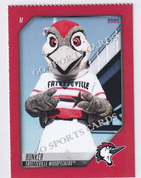 2022 Fayetteville Woodpeckers SGA Bunker Mascot