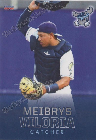 2018 Wilmington Blue Rocks Meibrys Viloria