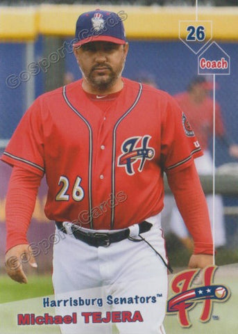 2019 Harrisburg Senators Michael Tejera