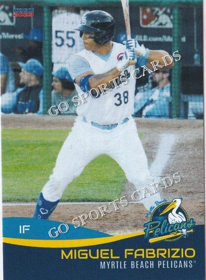 2023 Myrtle Beach Pelicans Miguel Fabrizio