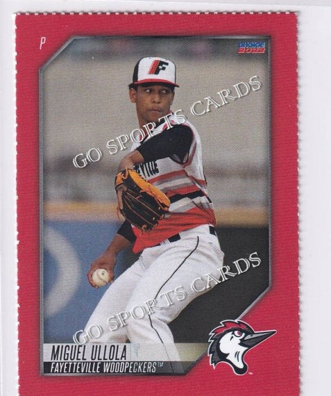 2022 Fayetteville Woodpeckers SGA Miguel Ullola