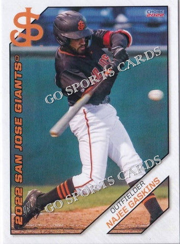 2022 San Jose Giants Najee Gaskins