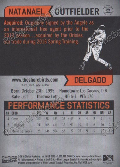 2016 Delmarva Shorebirds Natanael Delgado  Back of Card