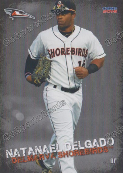 2016 Delmarva Shorebirds Natanael Delgado