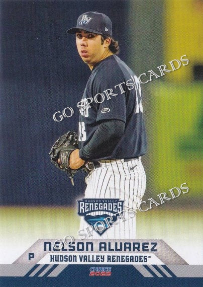 2022 Hudson Valley Renegades Nelson L Alvarez