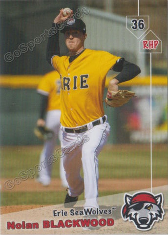 2019 Erie SeaWolves Nolan Blackwood