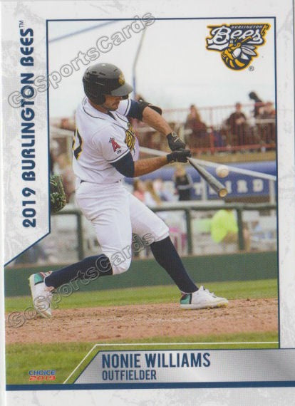 2019 Burlington Bees Nonie Williams