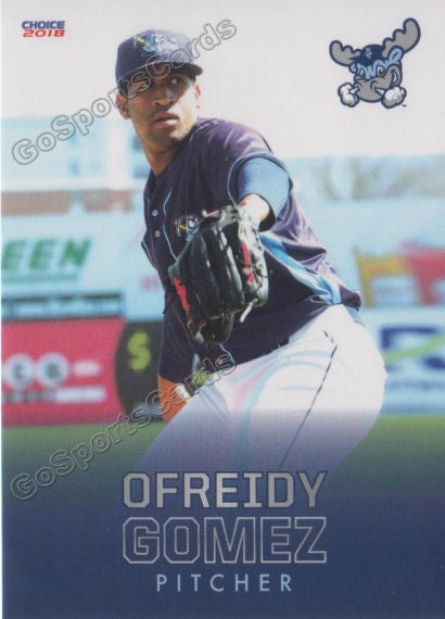 2018 Wilmington Blue Rocks Ofreidy Gomez