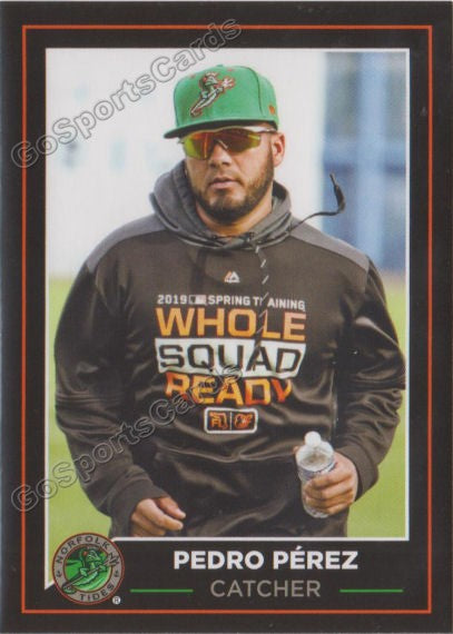 2019 Norfolk Tides Pedro Perez