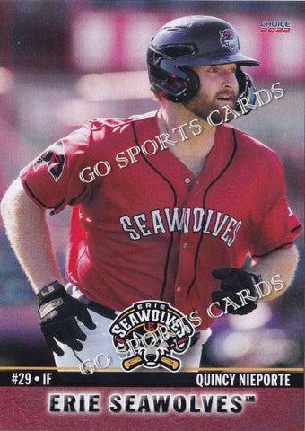 2022 Erie SeaWolves Quincy Nieporte