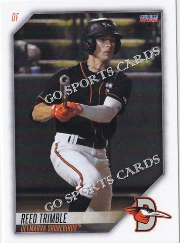 2022 Delmarva Shorebirds Reed Trimble