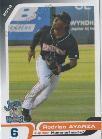 2018 Jupiter Hammerheads Rodrigo Ayarza