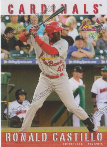 2015 Palm Beach Cardinals Ronald Castillo