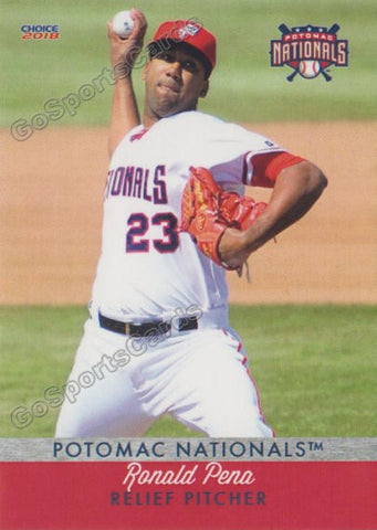 2018 Potomac Nationals Ronald Pena