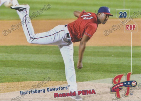 2019 Harrisburg Senators Ronald Pena