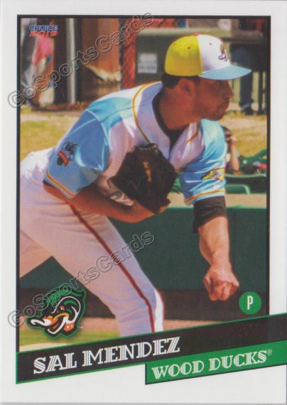 2019 Down East Wood Ducks Sal Mendez