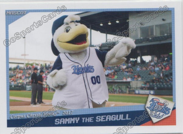 Corpus Christi Hooks - All smiles for our favorite seagull at