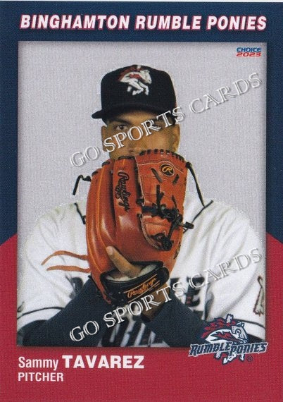 2023 Choice Binghamton Rumble Ponies Baseball - Trading Card Database