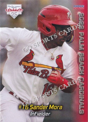 2022 Palm Beach Cardinals Sander Mora