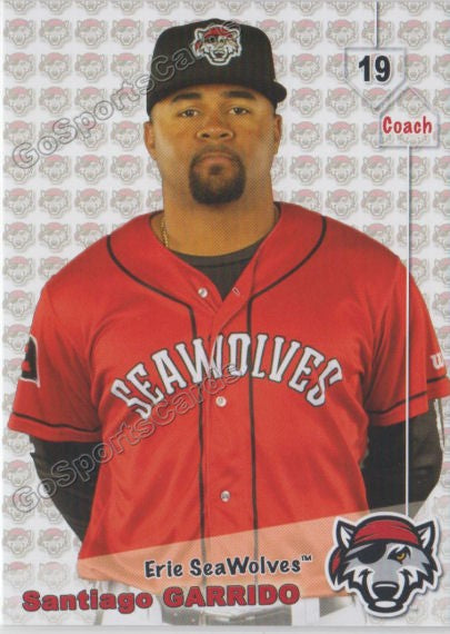 2019 Erie SeaWolves Santiago Garrido