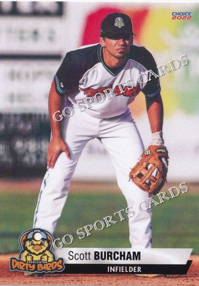 minor league baseball cards