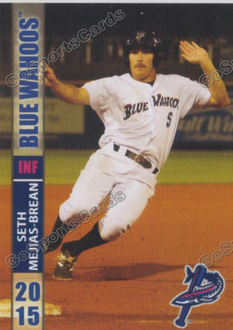 2015 Pensacola Blue Wahoos Seth Mejias Brean