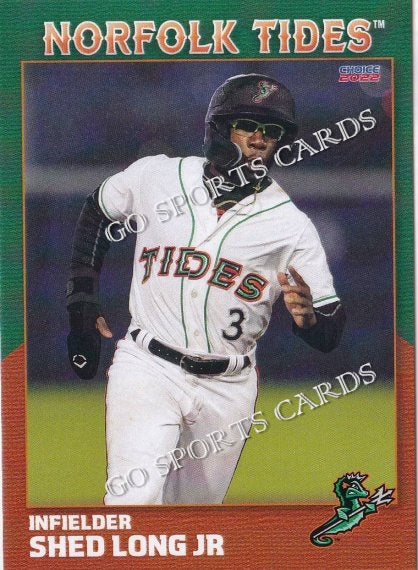 2022 Norfolk Tides 1st Shed Long Jr