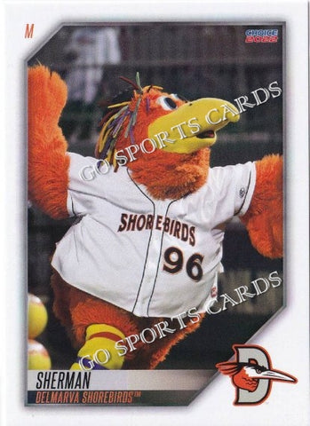 2022 Delmarva Shorebirds Sherman Mascot