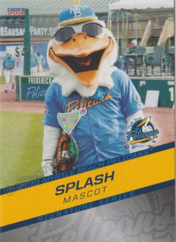 2018 Myrtle Beach Pelicans Splash Mascot