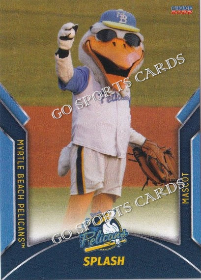 2022 Myrtle Beach Pelicans Splash Mascot