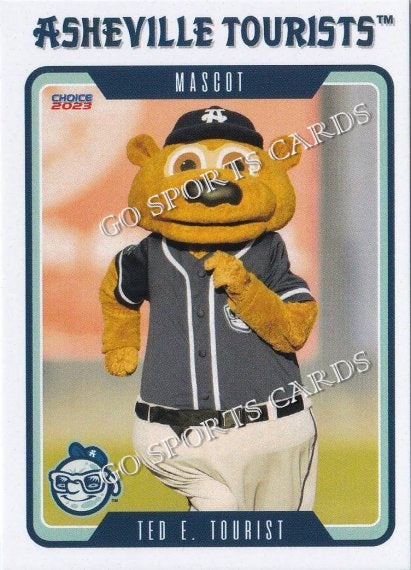 2023 Asheville Tourists Ted E Tourist Mascot