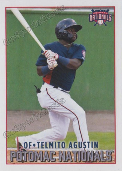 2019 Potomac Nationals Telmito Agustin