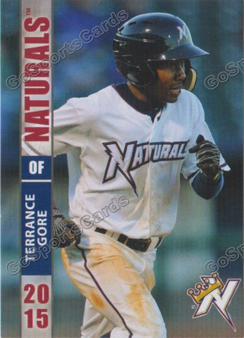 2015 Northwest Arkansas Naturals Terrance Gore