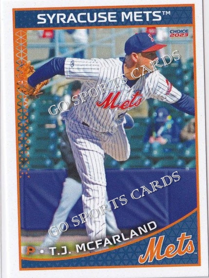 Syracuse Mets 2023 Team Card Set