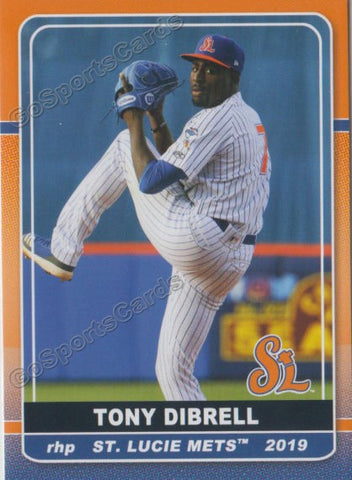 2019 St Lucie Mets Tony Dibrell