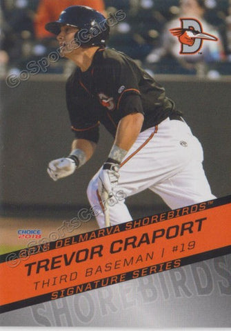 2018 Delmarva Shorebirds Trevor Craport