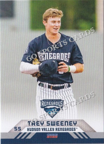 2022 Hudson Valley Renegades Trey Sweeney