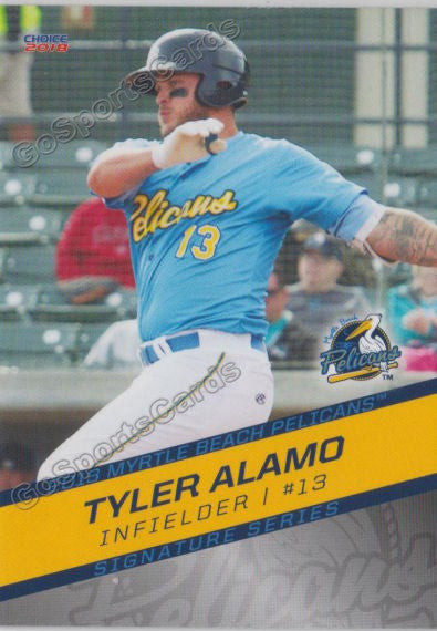 2018 Myrtle Beach Pelicans Tyler Alamo