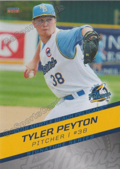 2018 Myrtle Beach Pelicans Tyler Peyton