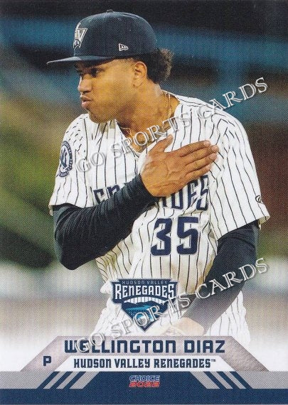 2022 Hudson Valley Renegades Wellington Diaz