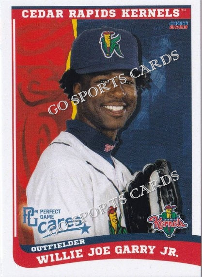 2023 Lakeland Flying Tigers Cleiverth Perez – Go Sports Cards