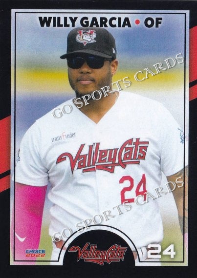 2022 Tri City ValleyCats Willy Garcia