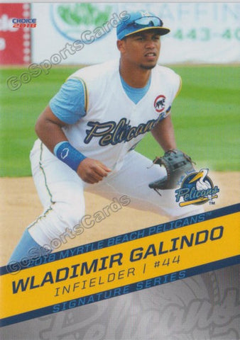 2018 Myrtle Beach Pelicans Wladimir Galindo