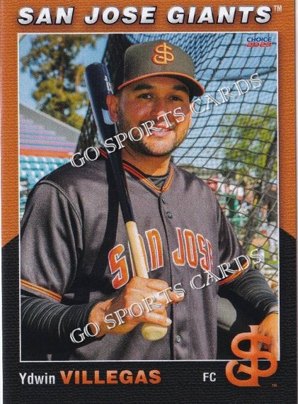 2023 San Jose Giants Ydwin Villegas