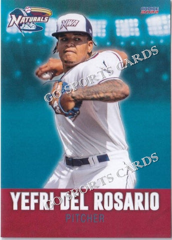 2022 Northwest Arkansas Naturals Yefri Del Rosario