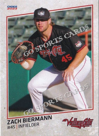 2023 Worcester Red Sox Norwith Gudino – Go Sports Cards