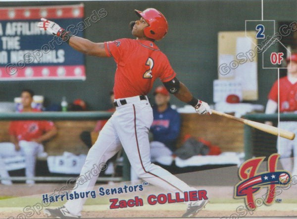 2019 Harrisburg Senators Zach Collier