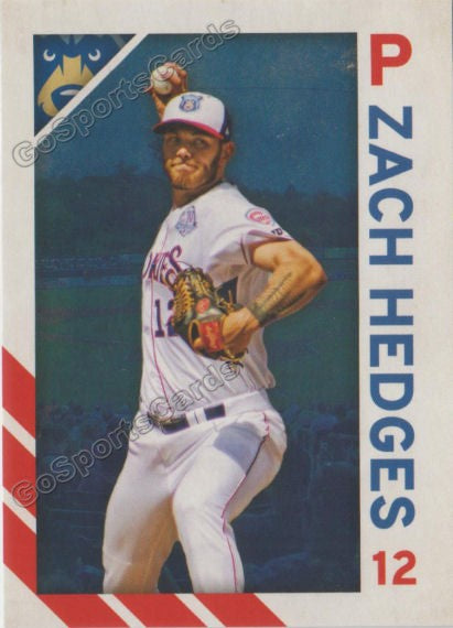 2019 Tennessee Smokies Zach Hedges